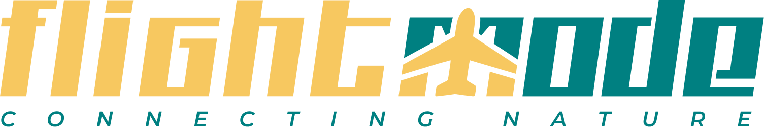 Flightmode Camp Logo